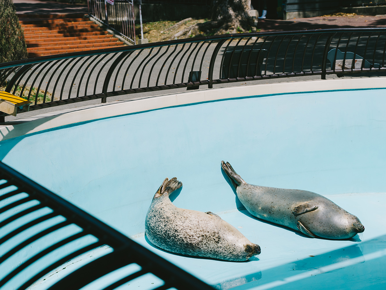 大牟田市動物園 Omuta City Zoo